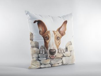 P-8777-ibizan hound